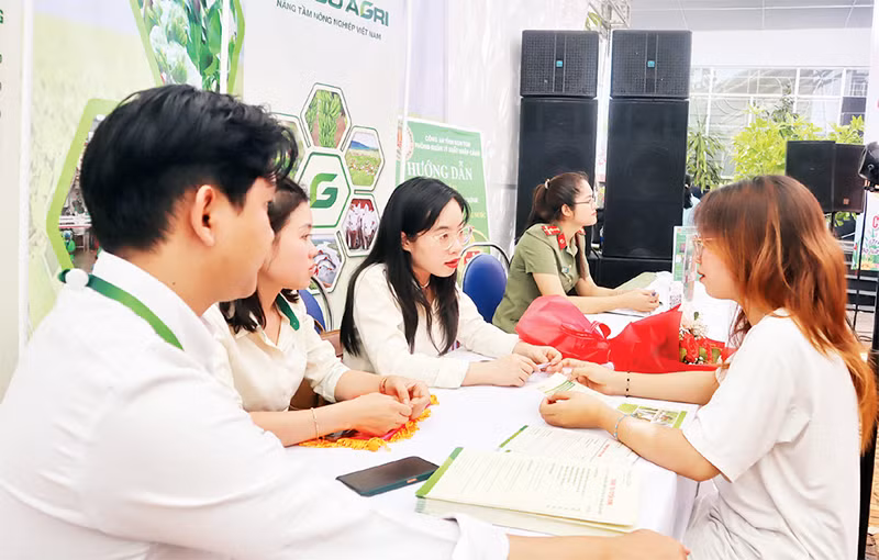 Các bạn trẻ tìm kiếm cơ hội trong Ngày việc làm năm 2024.