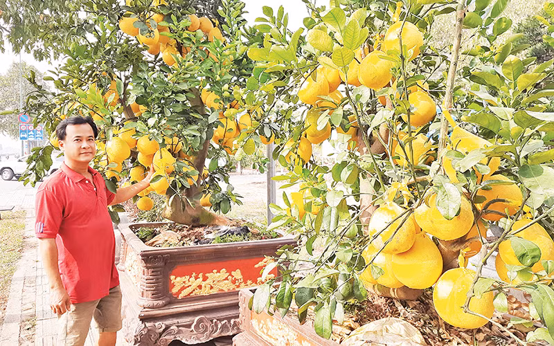Anh Nguyễn Đặng Thành, chủ vựa hoa, cây cảnh Hưng Thịnh, thành phố Thủ Đức.