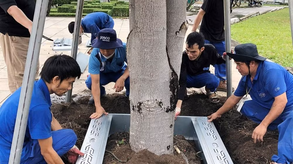 Thử nghiệm hệ thống trữ nước tưới ngầm cho cây xanh tại thị xã Phú Mỹ.