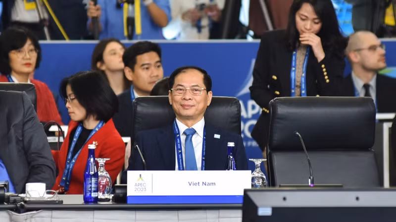 Bộ trưởng Ngoại giao Bùi Thanh Sơn phát biểu tại Hội nghị. Bộ trưởng Ngoại giao Bùi Thanh Sơn phát biểu tại Hội nghị.