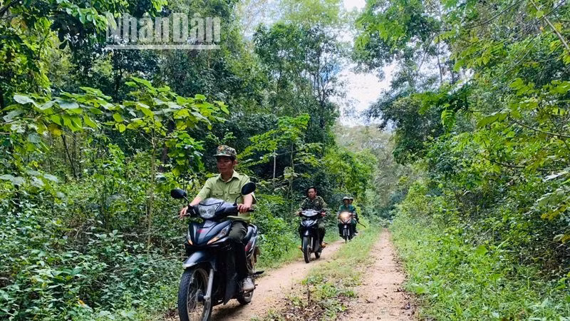 Lực lượng Kiểm lâm và quản lý, bảo vệ rừng Khu Bảo tồn thiên nhiên Ea Sô tuần tra, bảo vệ rừng.