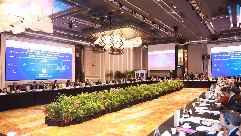 Tọa đàm doanh nghiệp Việt Nam-Singapore. (Ảnh: Thống Nhất/TTXVN)