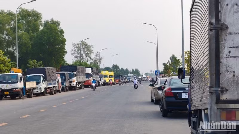 Sáng sớm 17/4, nhiều chủ phương tiện từ địa phương khác đến Đồng Tháp đỗ xe ngoài lộ để chờ đăng kiểm. (Ảnh: HỮU NGHĨA)