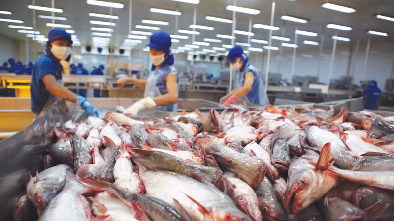 Dự báo xuất khẩu thủy sản sẽ tăng vào cuối năm.
