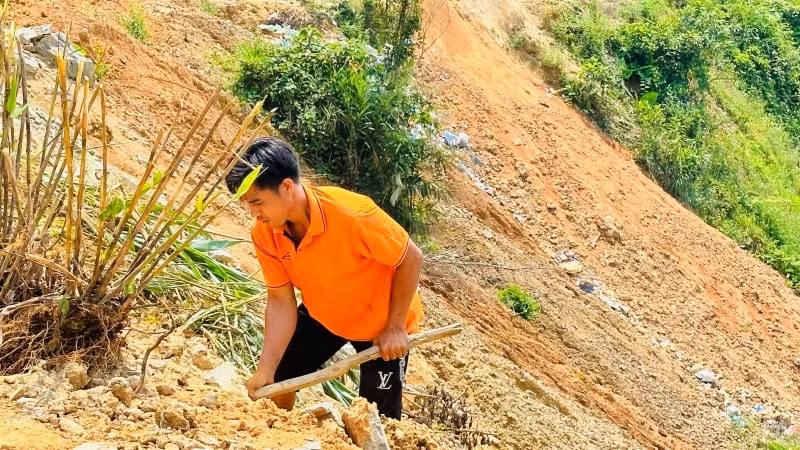 Lo sợ sạt lở mùa mưa sắp đến, anh Phạm Văn Hồng trồng cây trên mặt bằng vườn nhà do đơn vị thi công san lấp.