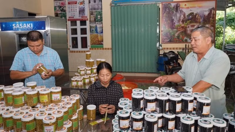 Sản phẩm OCOP chất lượng cao ở Hợp tác xã Yên Sơn, Tam Điệp (Ninh Bình).