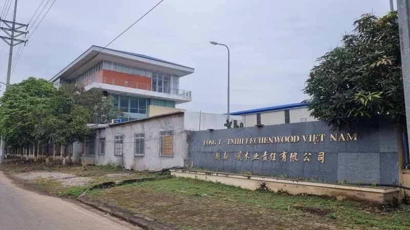 Tài sản dự án nhà máy ván MDF được Công ty TNHH Lechenwood Việt Nam mua lại và sản xuất hiệu quả.
