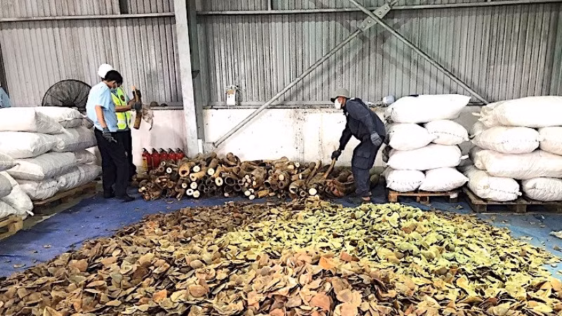 Số tang vật thu giữ của vụ án này. (Ảnh: Chi cục Hải quan cửa khẩu cảng Đà Nẵng cung cấp) Số tang vật thu giữ của vụ án này. (Ảnh: Chi cục Hải quan cửa khẩu cảng Đà Nẵng cung cấp)