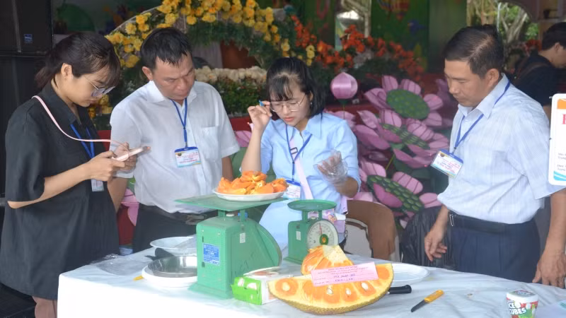 Hội thi trái cây ngon, an toàn tại Lễ hội trái cây Nam Bộ 2023. Hội thi trái cây ngon, an toàn tại Lễ hội trái cây Nam Bộ 2023.