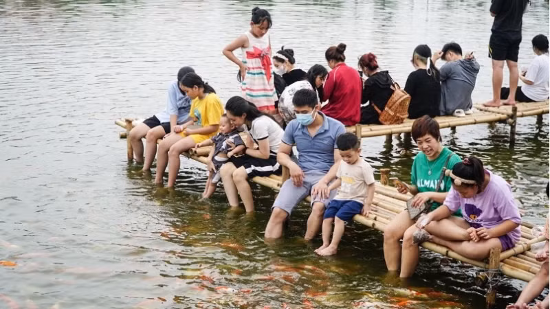 Trong các buổi chiều mát, rất đông người dân, du khách đã đến với phố Quảng Bá để chiêm ngưỡng cá Koi và trải nghiệm cho cá koi ăn.