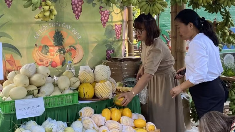 Các Hợp tác xã, doanh nghiệp mang đến nhiều loại trái cây chính vụ. Các Hợp tác xã, doanh nghiệp mang đến nhiều loại trái cây chính vụ.