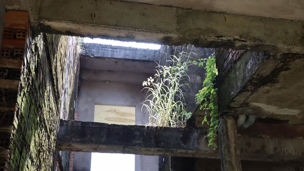 Bên trong những ngôi nhà bỏ hoang nhiều năm tại một dự án ở huyện Nhơn Trạch.
