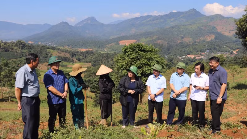 Bà Giàng Thị Hoa (thứ 5 từ phải sang), Phó Chủ tịch Hội đồng nhân dân tỉnh Điện Biên cùng thành viên đoàn giám sát kiểm tra thực địa các mô hình hỗ trợ sản xuất trồng cây cà phê tại xã Ẳng Tở, huyện Mường Ảng, tỉnh Điện Biên. Bà Giàng Thị Hoa (thứ 5 từ phải sang), Phó Chủ tịch Hội đồng nhân dân tỉnh Điện Biên cùng thành viên đoàn giám sát kiểm tra thực địa các mô hình hỗ trợ sản xuất trồng cây cà phê tại xã Ẳng Tở, huyện Mường Ảng, tỉnh Điện Biên.