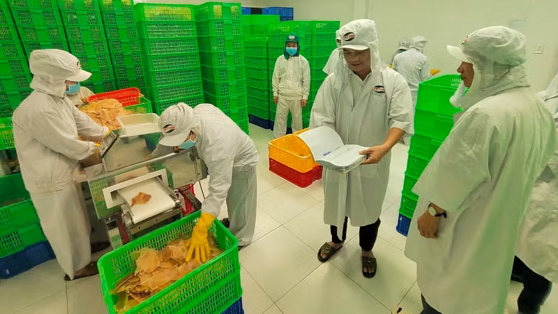 Đoàn kiểm tra liên ngành Trung ương về an toàn thực phẩm kiểm tra cơ sở sản xuất thực phẩm phục vụ thị trường Tết Quý Mão 2023.