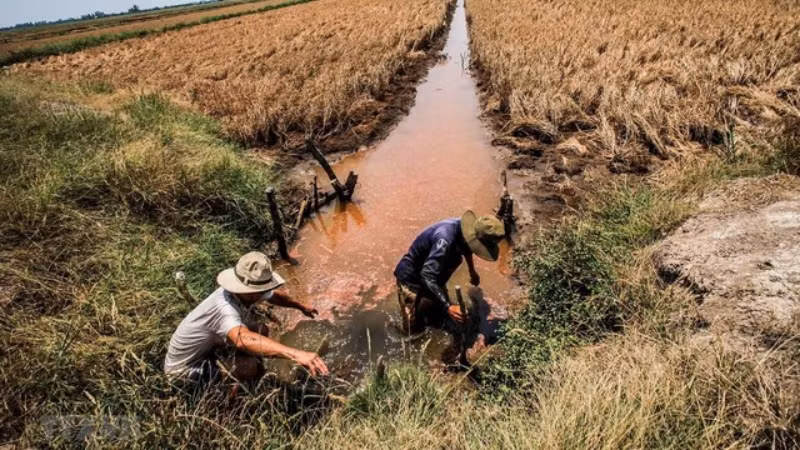 Tăng cường thực hiện các biện pháp phòng, chống nắng nóng, hạn hán, thiếu nước, xâm nhập mặn. (Ảnh minh họa)