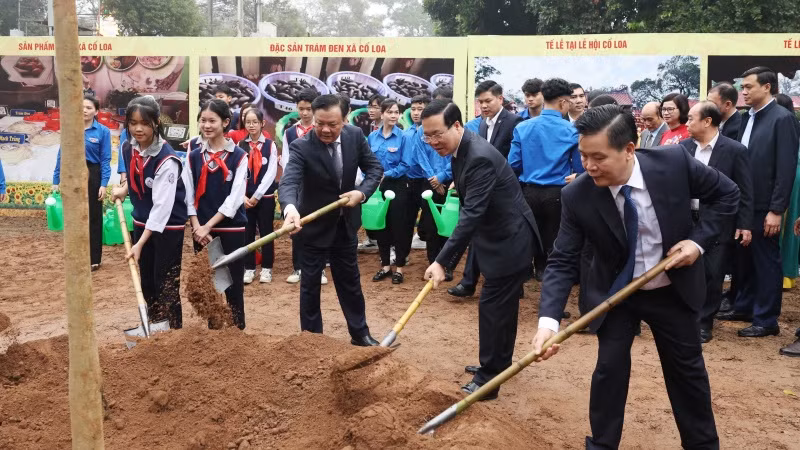 Chủ tịch nước Võ Văn Thưởng cùng các đại biểu trồng cây lưu niệm tại khuôn viên Di tích quốc gia đặc biệt Cổ Loa. (Ảnh: Thống Nhất - TTXVN) Chủ tịch nước Võ Văn Thưởng cùng các đại biểu trồng cây lưu niệm tại khuôn viên Di tích quốc gia đặc biệt Cổ Loa. (Ảnh: Thống Nhất - TTXVN)
