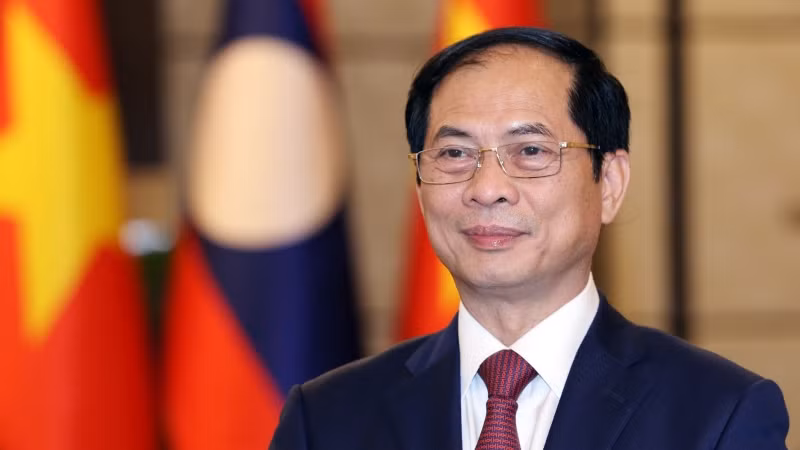 Bộ trưởng Ngoại giao Bùi Thanh Sơn. (Ảnh: TTXVN)