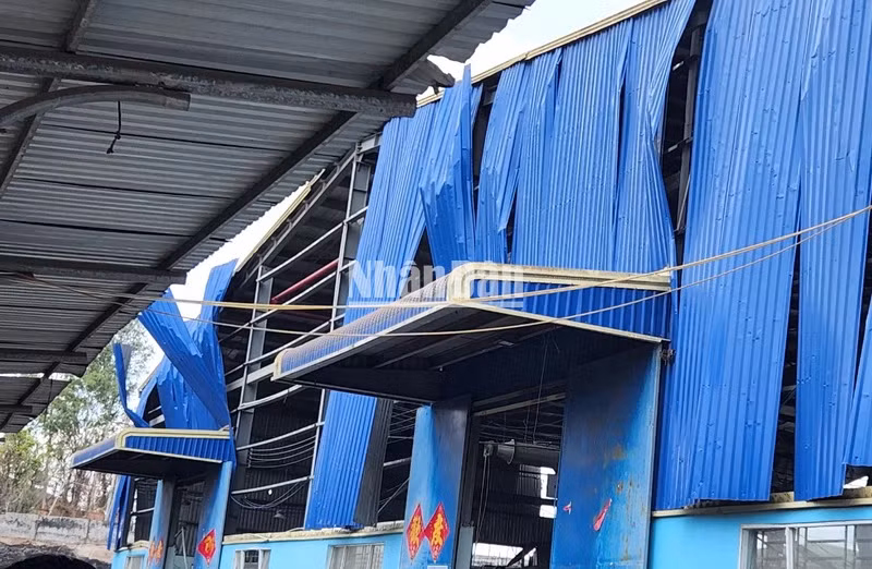 Vụ nổ gây rung chấn mạnh khiến nhà xưởng bị xé toang.