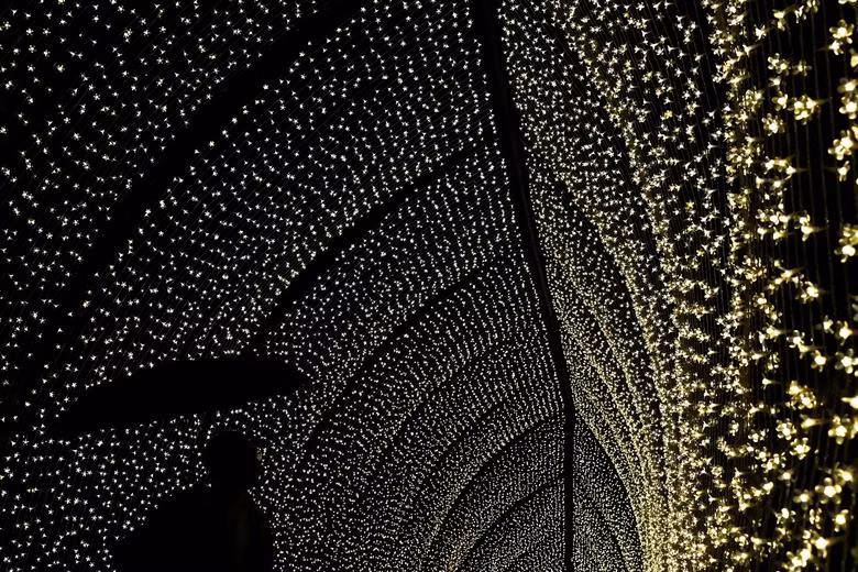 Dưới ánh đèn lung linh tại Kew Gardens, London, Anh. (Ảnh: Reuters)