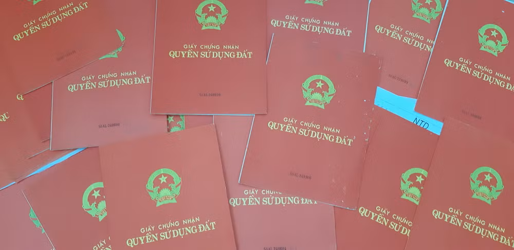 3 cán bộ, công chức phường Phổ Quang, thị xã Đức Phổ (Quảng Ngãi) bị kỷ luật do vi phạm trong tiếp nhận, giải quyết hồ sơ đề nghị cấp giấy chứng nhận quyền sử dụng đất cho công dân.
