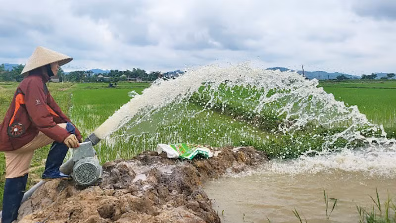 Người dân xã Sơn Lộc, Can Lộc (Hà Tĩnh) phấn khởi đón nước chăm sóc lúa hè thu.