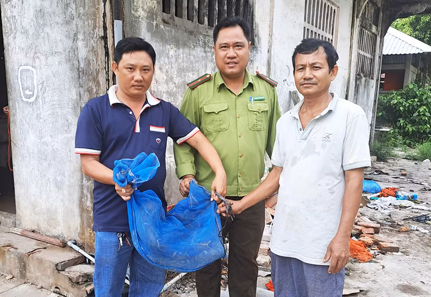 Ông Đào Viên (áo trắng) giao nộp trăn đất cho đơn vị chức năng để thả về môi trường tự nhiên.