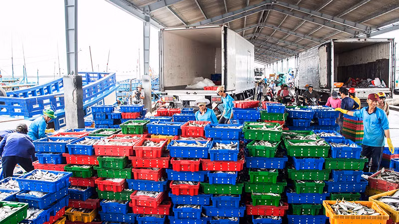 Quy hoạch hàng hóa thông qua Cảng biển Sóc Trăng từ 30,7 triệu tấn đến 41,2 triệu tấn.