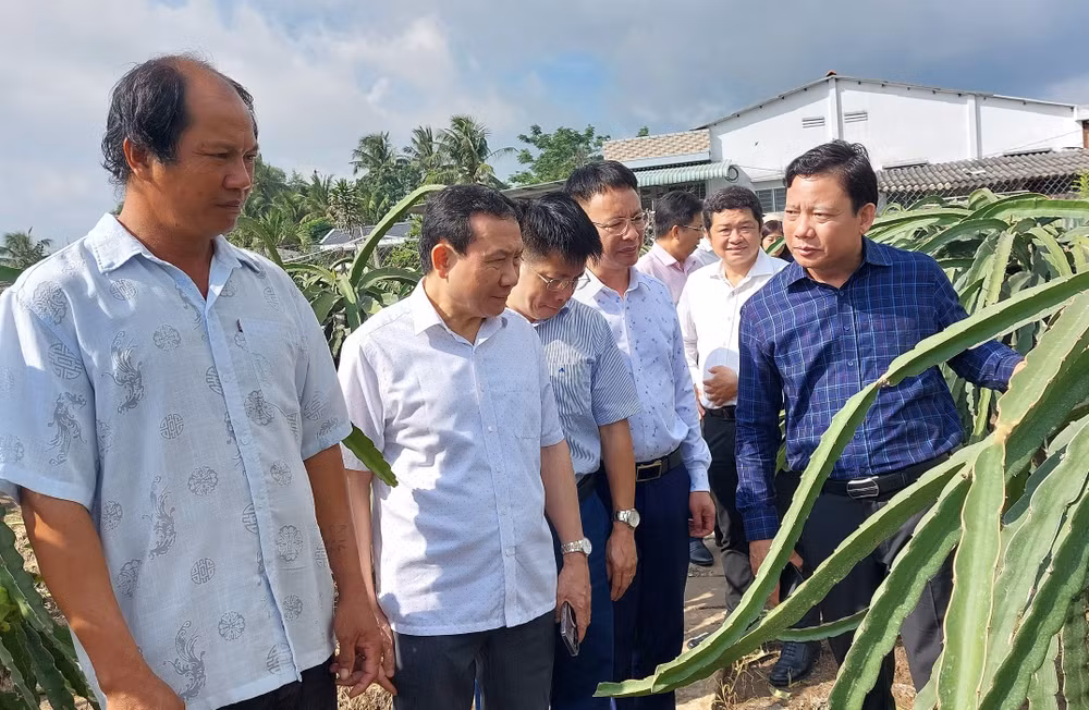 Đoàn công tác của Ban Kinh tế Trung ương đi khảo sát thực tế hộ dân trồng thanh ở xã Bình Quới (Châu Thành, Long An). Đoàn công tác của Ban Kinh tế Trung ương đi khảo sát thực tế hộ dân trồng thanh ở xã Bình Quới (Châu Thành, Long An).