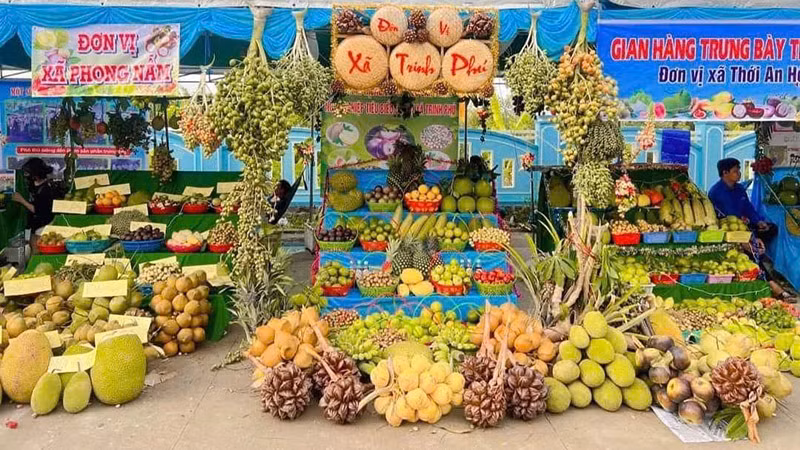 Các loại trái cây được trưng bày trong Ngày hội.