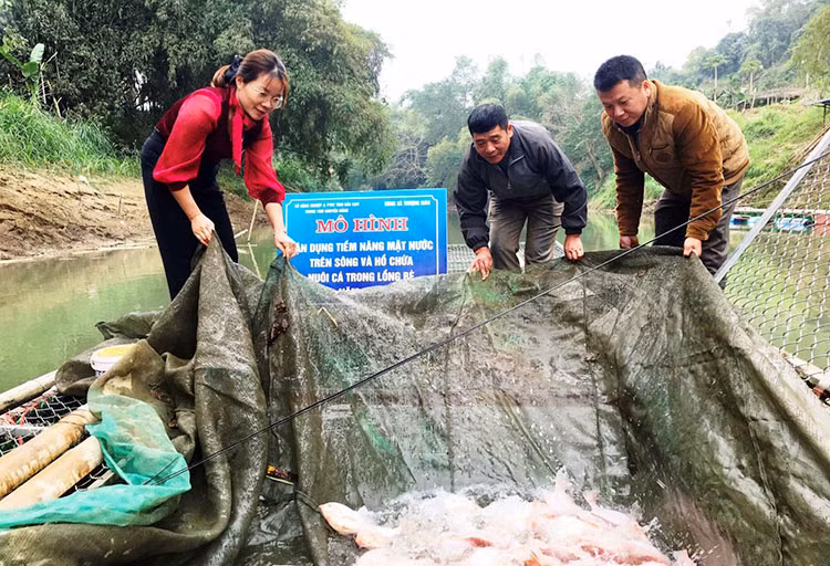Mô hình nuôi cá lồng trên sông Năng được mở rộng sau khi sáp nhập Thượng Giáo, huyện Ba Bể, Bắc Kạn. (Ảnh: thuysanvietnam.com)