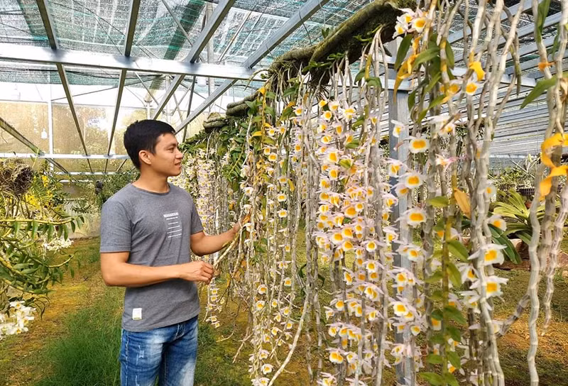 Mô hình trồng hoa mang lại thu nhập cho các hộ dân.