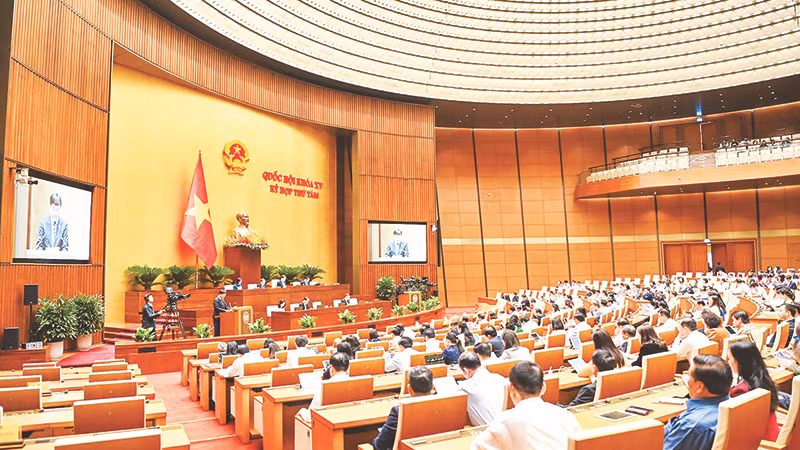 Toàn cảnh kỳ họp thứ tám, Quốc hội khóa XV. 