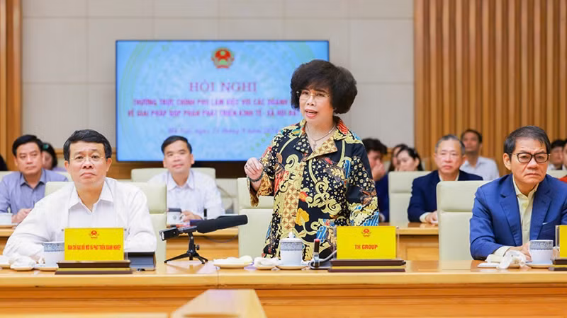 Anh hùng Lao động Thái Hương phát biểu tại Hội nghị của Thường trực Chính phủ làm việc với các doanh nghiệp lớn. 