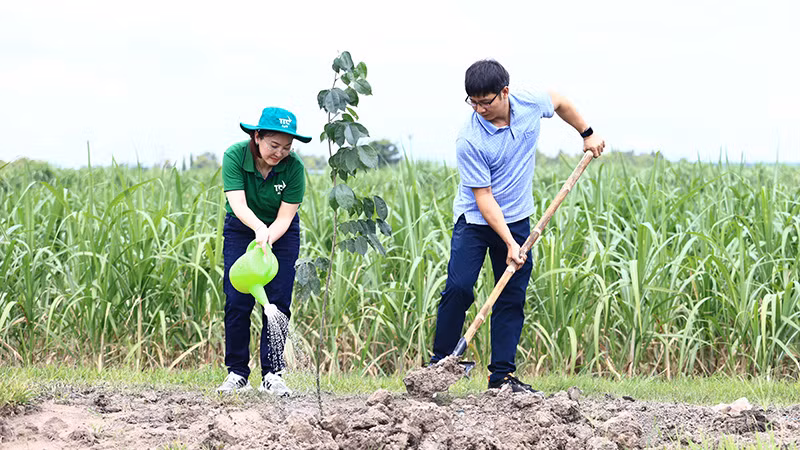 Bà Đặng Huỳnh Ức My, Chủ tịch TTC AgriS cùng ông Nguyễn Thành Tâm, Ủy viên Ban Chấp hành Trung ương Đảng, Bí thư Tỉnh ủy, Chủ tịch Hội đồng nhân dân tỉnh Tây Ninh, thực hiện hoạt động trồng cây ngay trong khuôn khổ giải chạy, tiếp nối nỗ lực của TTC AgriS trong việc lan tỏa giá trị dự án “TTC AgriS: 10 triệu cây xanh - Kiến tạo tương lai xanh” tới cộng đồng thông qua mọi sáng kiến của doanh nghiệp. Bà Đặng Huỳnh Ức My, Chủ tịch TTC AgriS cùng ông Nguyễn Thành Tâm, Ủy viên Ban Chấp hành Trung ương Đảng, Bí thư Tỉnh ủy, Chủ tịch Hội đồng nhân dân tỉnh Tây Ninh, thực hiện hoạt động trồng cây ngay trong khuôn khổ giải chạy, tiếp nối nỗ lực của TTC AgriS trong việc lan tỏa giá trị dự án “TTC AgriS: 10 triệu cây xanh - Kiến tạo tương lai xanh” tới cộng đồng thông qua mọi sáng kiến của doanh nghiệp.
