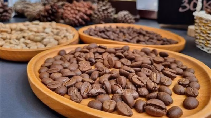 Hợp tác xã cà-phê sạch Măng Đen huyện Kon Plông, tỉnh Kon Tum tạo ra các sản phẩm cà-phê chất lượng cao. (Ảnh: DƯ TOÁN/TTXVN)