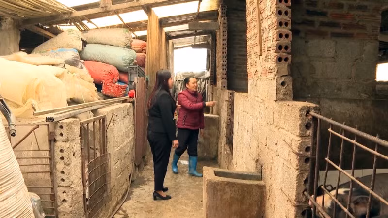 Cán bộ trực tiếp xuống cơ sở tuyên truyền, hướng dẫn người dân phòng chống đói, rét cho gia súc. Cán bộ trực tiếp xuống cơ sở tuyên truyền, hướng dẫn người dân phòng chống đói, rét cho gia súc.