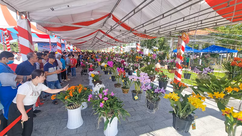 Đông đảo người dân đến chiêm ngưỡng hoa lan. 