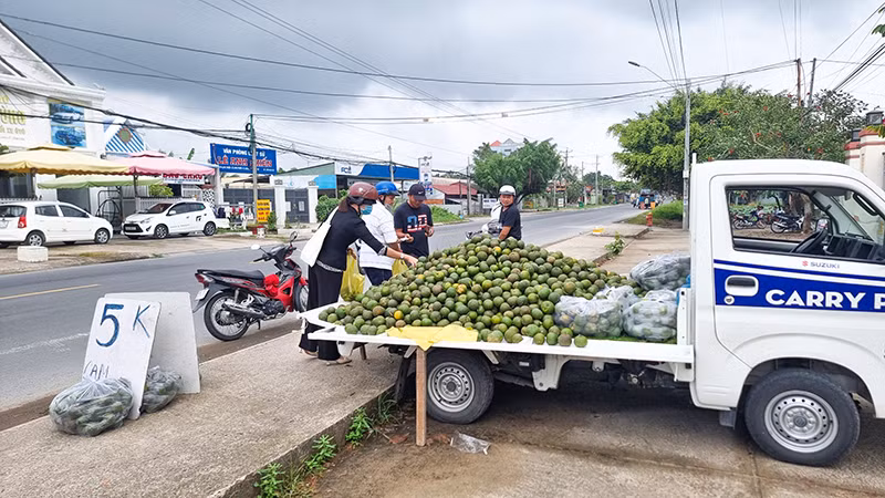 Cam sành được bày bán trên các tuyến đường. Cam sành được bày bán trên các tuyến đường.