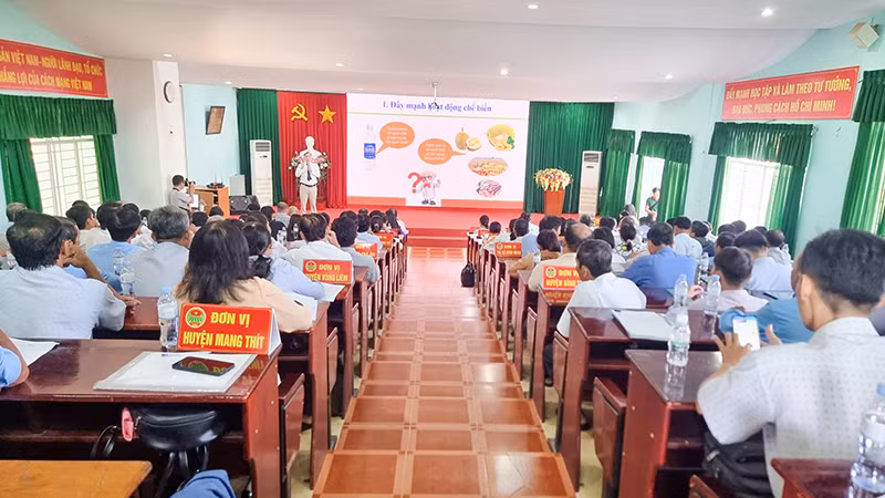 Chuyên gia trình bày tham luận tại hội thảo.