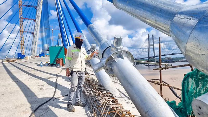 Công nhân đang trang trí những sợi dây văng cầu Mỹ Thuận 2.