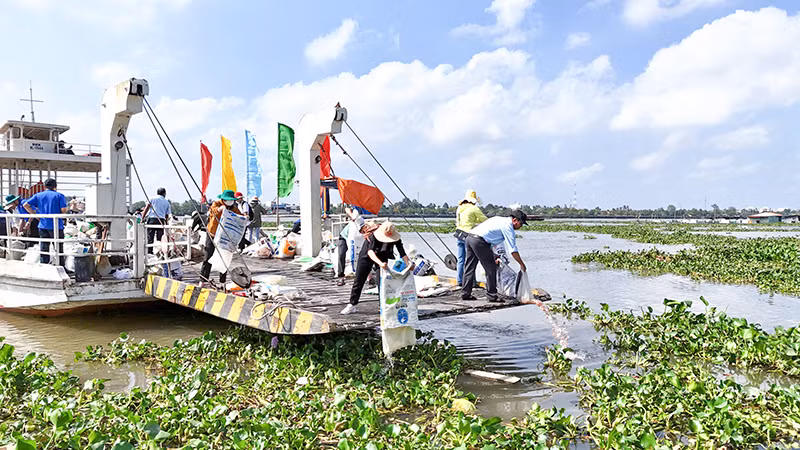 Thả cá ra môi trường tự nhiên góp phần tái tạo nguồn lợi thủy sản.