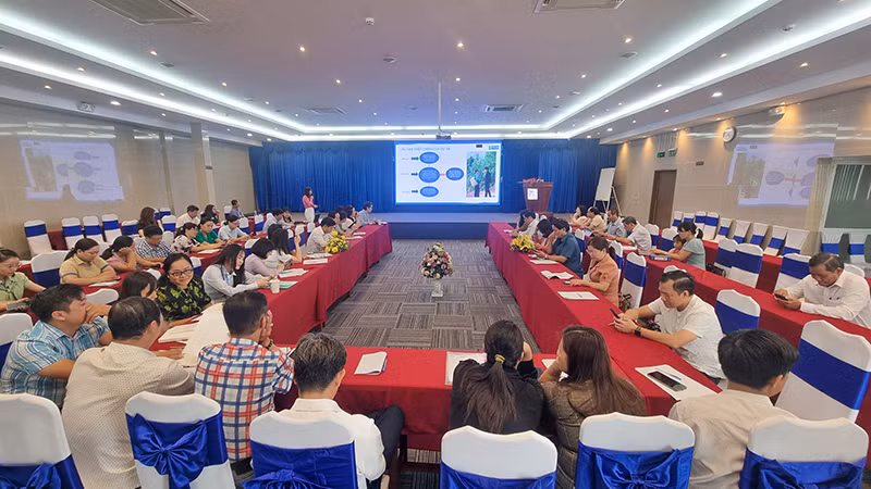 Đại biểu các tỉnh, thành phố phía nam tham gia tập huấn về công tác bảo vệ trẻ em. 