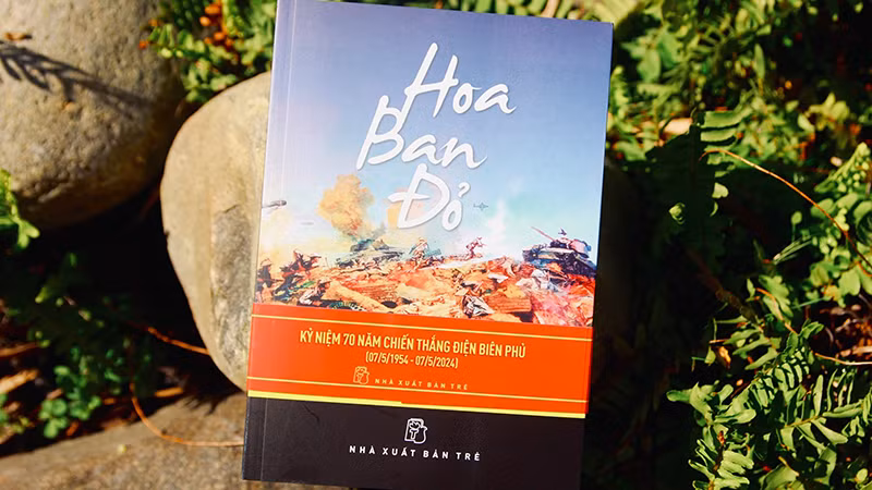 Bìa tác phẩm Hoa ban đỏ.