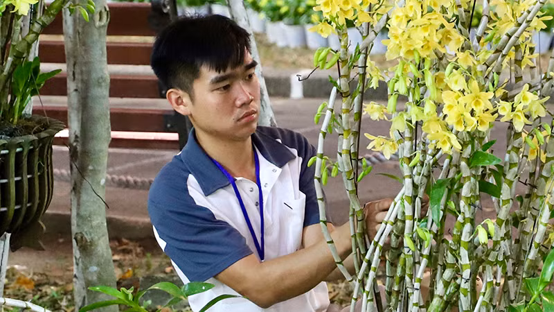Hội hoa xuân Tao Đàn luôn tập hợp nhiều loại hoa, cây kiểng độc đáo. Hội hoa xuân Tao Đàn luôn tập hợp nhiều loại hoa, cây kiểng độc đáo.