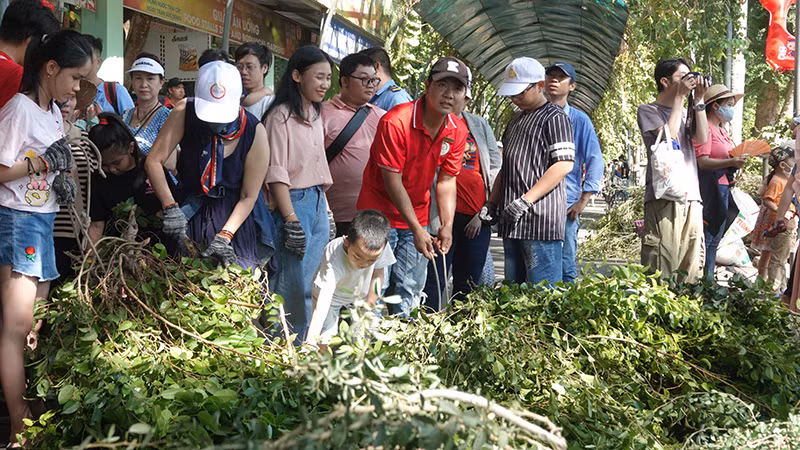 Các du khách tham gia hoạt động bó lá để cho gia đình hươu cao cổ ăn.