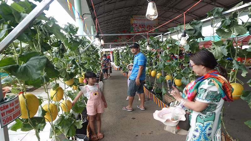 Lễ hội giới thiệu nhiều loại trái cây được trồng theo mô hình ứng dụng công nghệ cao.