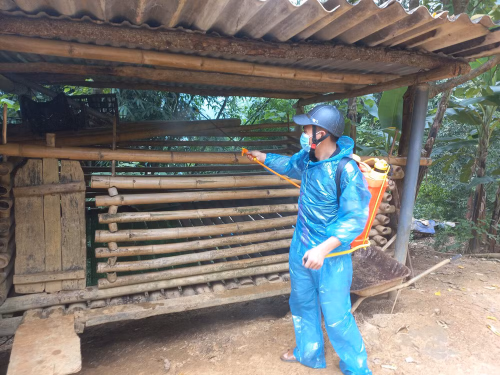 Các địa phương tại Hà Giang tiến hành phun thuốc khử trùng chuồng trại chăn nuôi tại các hộ gia đình xảy ra dịch bệnh.
