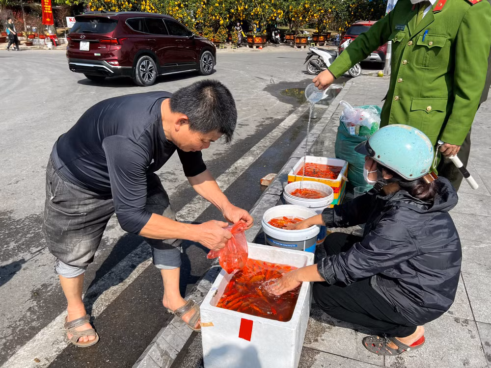 Người dân tới hồ Tây sẽ được hướng dẫn đưa cá vào các thùng đã chuẩn bị sẵn. Khi đầy, lực lượng công an sẽ chở cá đi phóng sinh ra sông Hồng gần đó.