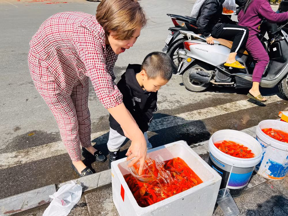 Mục đích của hoạt động này là nhằm giữ cho cá phóng sinh có cơ hội sống sót; đồng thời bảo đảm hồ Tây được sạch đẹp.