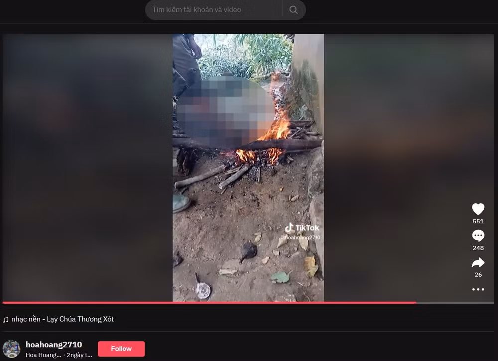 Hình ảnh chụp từ video trên Tiktok vi phạm.